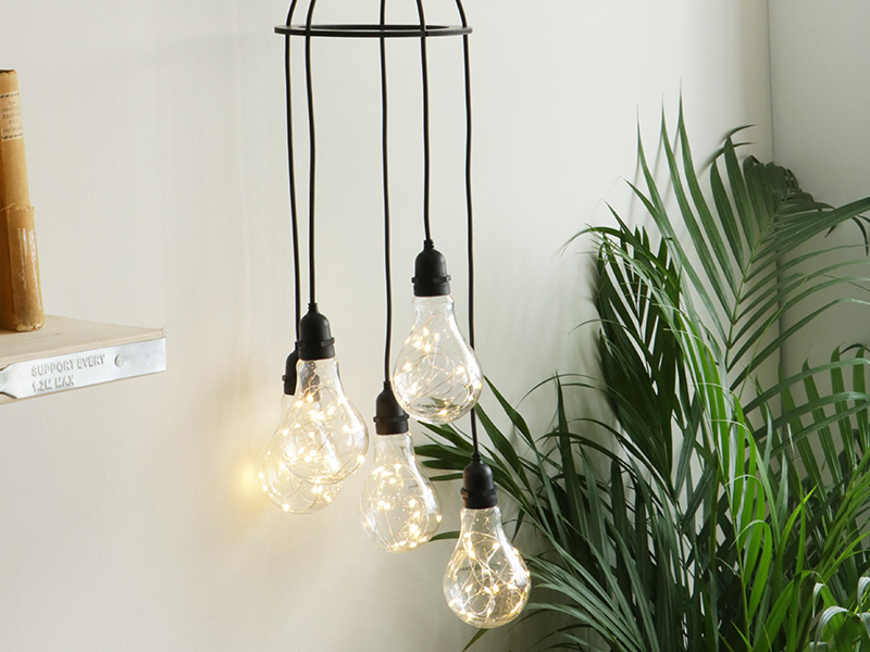 Festoon Cluster Lights hanging next to shelf by a plant